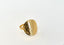 Adjustable Oval Ring - Stainless Steel - 18k Gold Plated